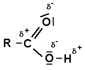 Carboxylgruppe