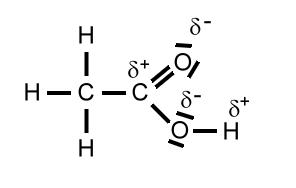 essigs mole