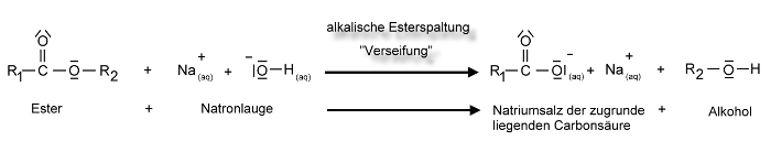 verseifung-1-klein