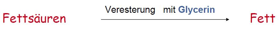 veresterung-allg