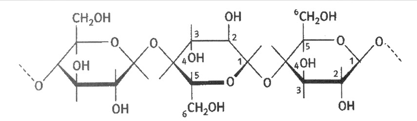 cellulose-01