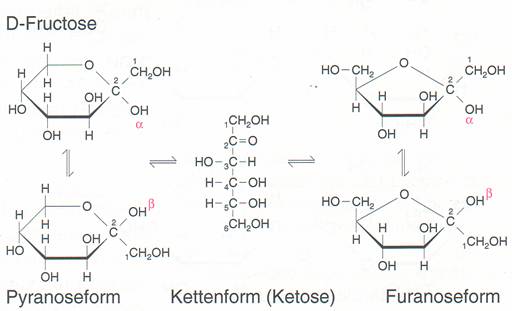 fructose-mutarotation