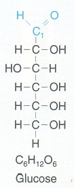 glucose-fischer