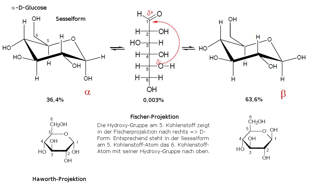 glucose-ringbildung01