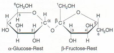 saccharose haworth 400