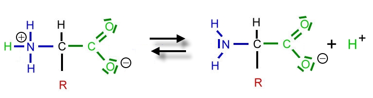 protonenabgabe