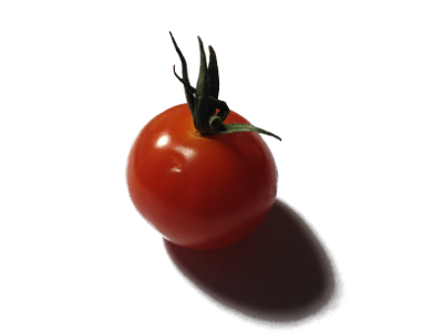 tomate-klein