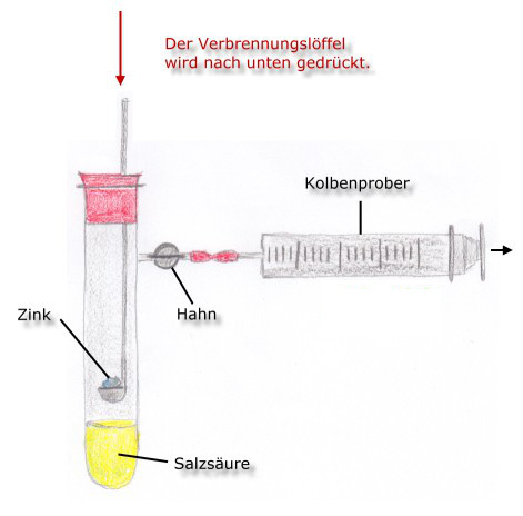ZinkundSalzs-kinetik